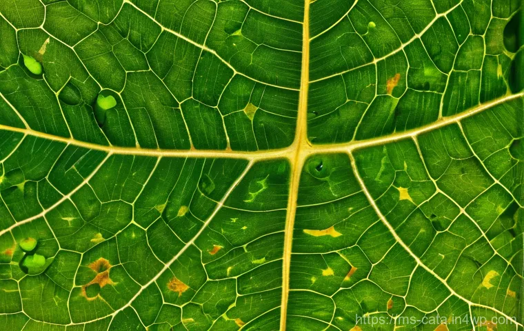 데이터 증강을 위한 실용적인 가이드라인 - **Prompt 2: Conceptualizing Text Data Augmentation for AI**
    "A young adult, ethnically diverse f...